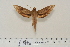  ( - BC-Hax4648)  @13 [ ] Copyright (2010) Unspecified Research Collection of Jean Haxaire