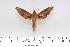 ( - BC-Hax4340)  @13 [ ] Copyright (2010) Unspecified Research Collection of Jean Haxaire