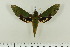  ( - BC-Hax4963)  @13 [ ] Copyright (2012) Jean Haxaire Research Collection of Jean Haxaire