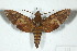  ( - BC-Hax5123)  @14 [ ] Copyright (2012) Jean Haxaire Research Collection of Jean Haxaire