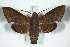  ( - BC-Hax5128)  @14 [ ] Copyright (2012) Jean Haxaire Research Collection of Jean Haxaire