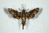 ( - BC-Hax5133)  @12 [ ] Copyright (2012) Jean Haxaire Research Collection of Jean Haxaire