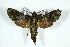 ( - BC-Hax5154)  @11 [ ] Unspecified (default): All Rights Reserved  Unspecified Unspecified