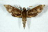  ( - BC-Hax5155)  @14 [ ] Unspecified (default): All Rights Reserved  Unspecified Unspecified