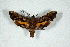  ( - BC-Hax5166)  @11 [ ] Unspecified (default): All Rights Reserved  Unspecified Unspecified