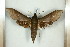  ( - BC-Hax5196)  @13 [ ] Unspecified (default): All Rights Reserved  Unspecified Unspecified