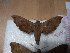 ( - BC-Hax5455)  @11 [ ] Unspecified (default): All Rights Reserved  Unspecified Unspecified