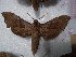  ( - BC-Hax5458)  @11 [ ] Unspecified (default): All Rights Reserved  Unspecified Unspecified