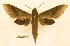  ( - BC-Hax5523)  @11 [ ] CC-by (2023) Jean Haxaire Research collection of Jean Haxaire