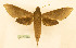  ( - BC-Hax5568)  @11 [ ] CC-by (2023) Jean Haxaire Research collection of Jean Haxaire