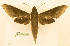  ( - BC-Hax5573)  @11 [ ] CC-by (2023) Jean Haxaire Research collection of Jean Haxaire