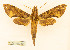  ( - BC-Hax5643)  @11 [ ] CC-by (2023) Jean Haxaire Research collection of Jean Haxaire