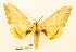  ( - BC-Hax5674)  @11 [ ] CC-by (2023) Jean Haxaire Research collection of Jean Haxaire