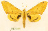  ( - BC-Hax5676)  @11 [ ] CC-by (2023) Jean Haxaire Research collection of Jean Haxaire