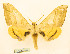 ( - BC-Hax5677)  @11 [ ] CC-by (2023) Jean Haxaire Research collection of Jean Haxaire