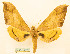  ( - BC-Hax5678)  @11 [ ] CC-by (2023) Jean Haxaire Research collection of Jean Haxaire