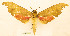  ( - BC-Hax5688)  @11 [ ] CC-by (2023) Jean Haxaire Research collection of Jean Haxaire