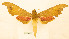  ( - BC-Hax5689)  @11 [ ] CC-by (2023) Jean Haxaire Research collection of Jean Haxaire