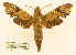  ( - BC-Hax5695)  @11 [ ] CC-by (2023) Jean Haxaire Research collection of Jean Haxaire