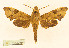  ( - BC-Hax5696)  @11 [ ] CC-by (2023) Jean Haxaire Research collection of Jean Haxaire