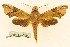  ( - BC-Hax5698)  @11 [ ] CC-by (2023) Jean Haxaire Research collection of Jean Haxaire