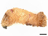  ( - CBG-A11008-G09)  @11 [ ] CreativeCommons - Attribution Share - Alike (2023) CBG Photography Group Centre for Biodiversity Genomics