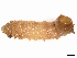  ( - CBG-A11008-G11)  @11 [ ] CreativeCommons - Attribution Share - Alike (2023) CBG Photography Group Centre for Biodiversity Genomics
