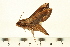  ( - 06-AT-00093)  @12 [ ] CreativeCommons - Attribution (2008) Unspecified Centre for Biodiversity Genomics