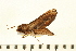  ( - 06-AT-00096)  @12 [ ] CreativeCommons - Attribution (2008) Unspecified Centre for Biodiversity Genomics