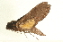  ( - 06-AT-00132)  @12 [ ] CreativeCommons - Attribution (2008) Unspecified Centre for Biodiversity Genomics