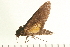  ( - 07-AT-00136)  @12 [ ] CreativeCommons - Attribution (2008) Unspecified Centre for Biodiversity Genomics