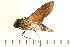  ( - 07-AT-00142)  @12 [ ] CreativeCommons - Attribution (2008) Unspecified Centre for Biodiversity Genomics