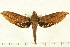  ( - 06-WA-00037)  @11 [ ] CreativeCommons - Attribution (2008) Unspecified Centre for Biodiversity Genomics