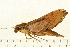  ( - 07-WA-00093)  @11 [ ] CreativeCommons - Attribution (2008) Unspecified Centre for Biodiversity Genomics