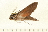  ( - 07-WA-00101)  @12 [ ] CreativeCommons - Attribution (2008) Unspecified Centre for Biodiversity Genomics