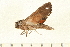  ( - 07-WA-00102)  @12 [ ] CreativeCommons - Attribution (2008) Unspecified Centre for Biodiversity Genomics