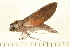  ( - 07-WA-00103)  @12 [ ] CreativeCommons - Attribution (2008) Unspecified Centre for Biodiversity Genomics