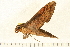  ( - 07-WA-00114)  @12 [ ] CreativeCommons - Attribution (2008) Unspecified Centre for Biodiversity Genomics