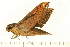  ( - 07-WA-00160)  @12 [ ] CreativeCommons - Attribution (2008) Unspecified Centre for Biodiversity Genomics