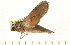  ( - 07-WA-00188)  @12 [ ] CreativeCommons - Attribution (2008) Unspecified Centre for Biodiversity Genomics