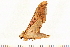  ( - 06-AT-00175)  @12 [ ] CreativeCommons - Attribution (2008) Unspecified Centre for Biodiversity Genomics