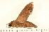  ( - 07-AT-00181)  @12 [ ] CreativeCommons - Attribution (2008) Unspecified Centre for Biodiversity Genomics