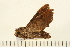  ( - 05-CICRA-00269)  @12 [ ] CreativeCommons - Attribution (2008) Unspecified Centre for Biodiversity Genomics