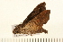  ( - 05-CICRA-00270)  @12 [ ] CreativeCommons - Attribution (2008) Unspecified Centre for Biodiversity Genomics