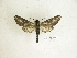 ( - BC-DZ 16.454)  @13 [ ] Copyright (2010) Unspecified Research Collection of Carlos Mielke