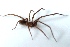  ( - IFM-1894)  @11 [ ] Unspecified (default): All Rights Reserved  Unspecified Unspecified