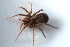  ( - IFM-1895)  @11 [ ] Unspecified (default): All Rights Reserved  Unspecified Unspecified