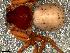  ( - IFM-0088)  @11 [ ] Copyright (2014) Ivan L.F. Magalhaes Museo Argentino de Ciencias Naturales