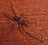  ( - IFM-2250)  @11 [ ] Unspecified (default): All Rights Reserved  Unspecified Unspecified