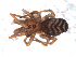  ( - IFM-2304)  @11 [ ] Unspecified (default): All Rights Reserved  Unspecified Unspecified